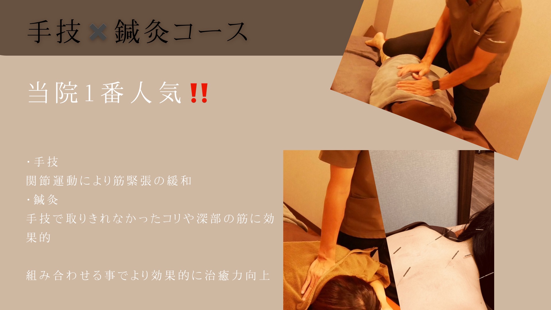 整体・鍼灸コース